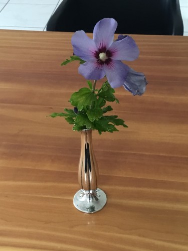 Vase blumenvase 835 er - vase,