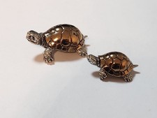 Tolles Schildkröten Paar von